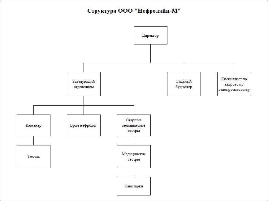 Структура организации